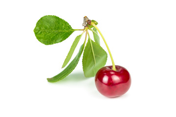 Juicy ripe cherry