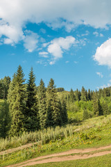 Fototapeta na wymiar Natura zielonych drzew i błękitne niebo, Droga na Medeo w Ałmaty