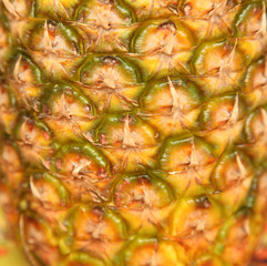 Fototapeta premium pineapple