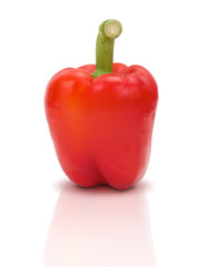 Illustrated red bell pepper