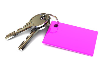 Keys with a Blank Pink Keyring