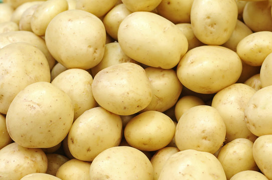 A bunch of potatoes on the market
