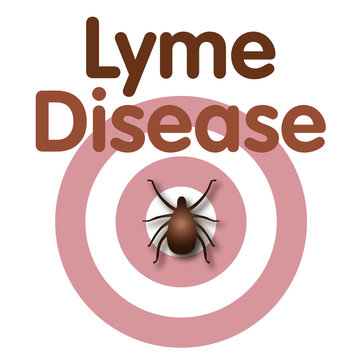 Lyme Disease, Tick, Bulls-eye Rash, Title Text. EPS10.