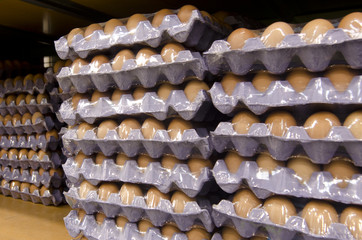 Eggs in trays
