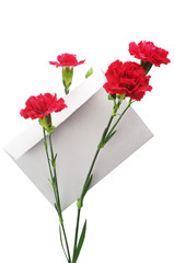 Cloves flower and empty envelope