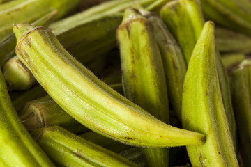Organic Green Okra Vegetable