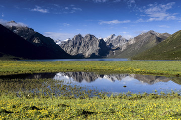 nature landscape