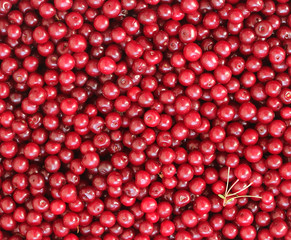 Close up cherry texture for background