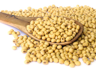 soy bean.