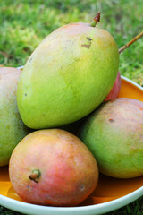 Ripe mango on green grass