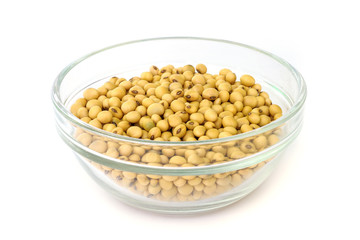 Soybean.