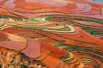 Farmland