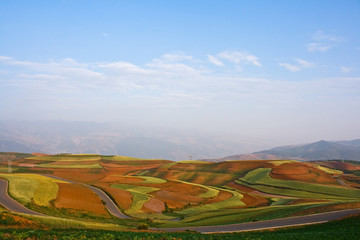 Farmland