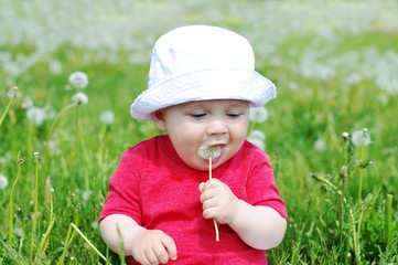 baby tastes blowballs