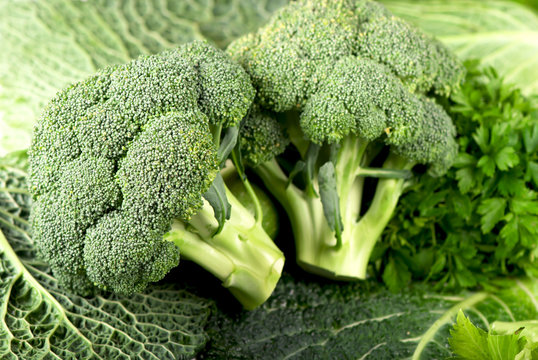 branches of cabbage of a broccoli close up