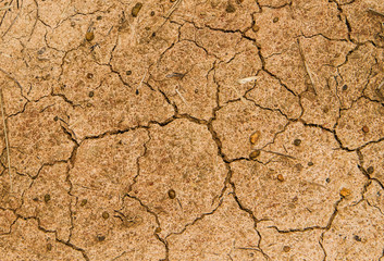 Dry ground texture