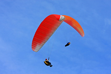 paragliders