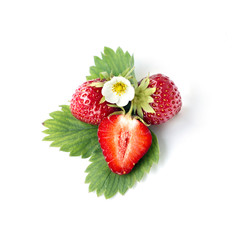 Strawberry with leaf  and floyers