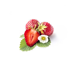 Strawberry with leaf  and floyers