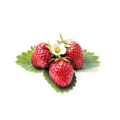 Strawberry with leaf  and floyers