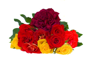 bouquet  of fresh   garden roses