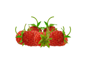 poziomki na białym tle © slawek_zelasko