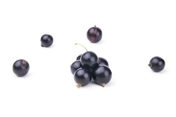 isolated currant
