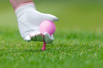 Ladies golf hand placing pink tee and ball into ground. - 53648274
