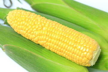トウモロコシ