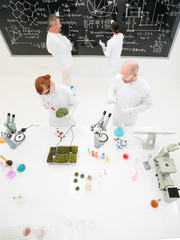 Scientists working in a laboratory