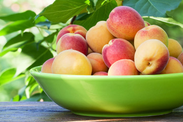 Apricots in a ceramic bowl