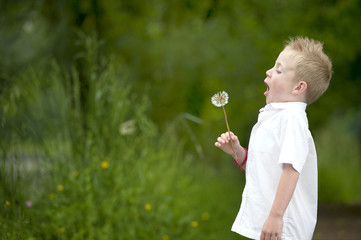 child blowing a dandelion