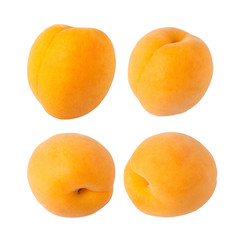 apricot fruit