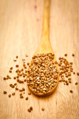 Buckwheat on a wooden spoon