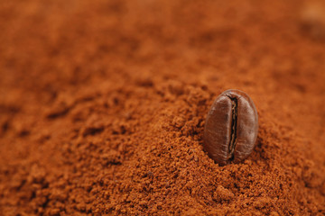 One Coffee Beans Scattered