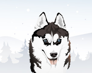 Siberian husky in the winter forest, vector illustration