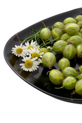garden-stuffs of gooseberry