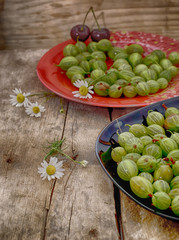 garden-stuffs of gooseberry
