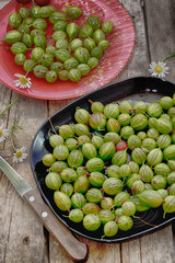 garden-stuffs of gooseberry