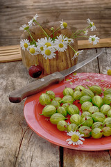 garden-stuffs of gooseberry