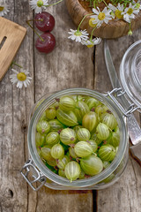 garden-stuffs of gooseberry