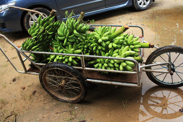 Fototapeta na wymiar Banana on Tricycle