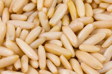 Close up of peeled pine nuts