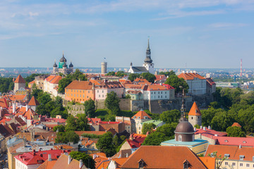 Obraz premium Tallinn Castle seen from Cathedral Bell Tower
