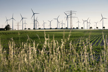 Windräder und Strommasten auf Feld