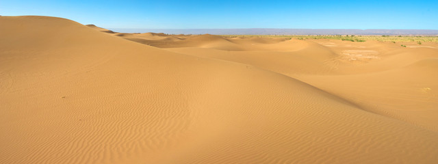 Majestic dune landscape