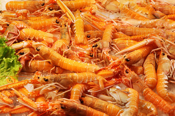 Shrimps pile