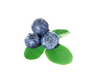 Blueberries, blueberry with leaves on white background.