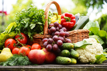 Fresh organic vegetables in wicker basket in the garden - obrazy, fototapety, plakaty