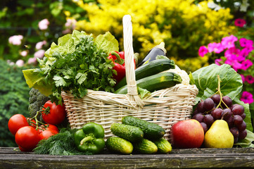 Fresh organic vegetables in wicker basket in the garden © monticellllo